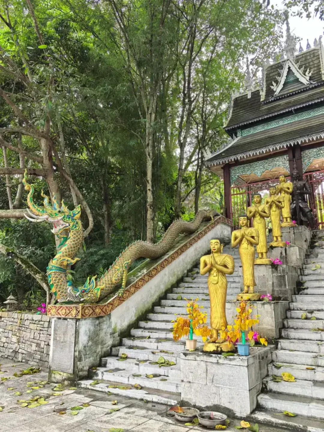 中老边境小城勐腊,一份两天一夜的松弛指南