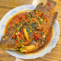 零失败红烧罗非鱼，新手也能轻松掌握