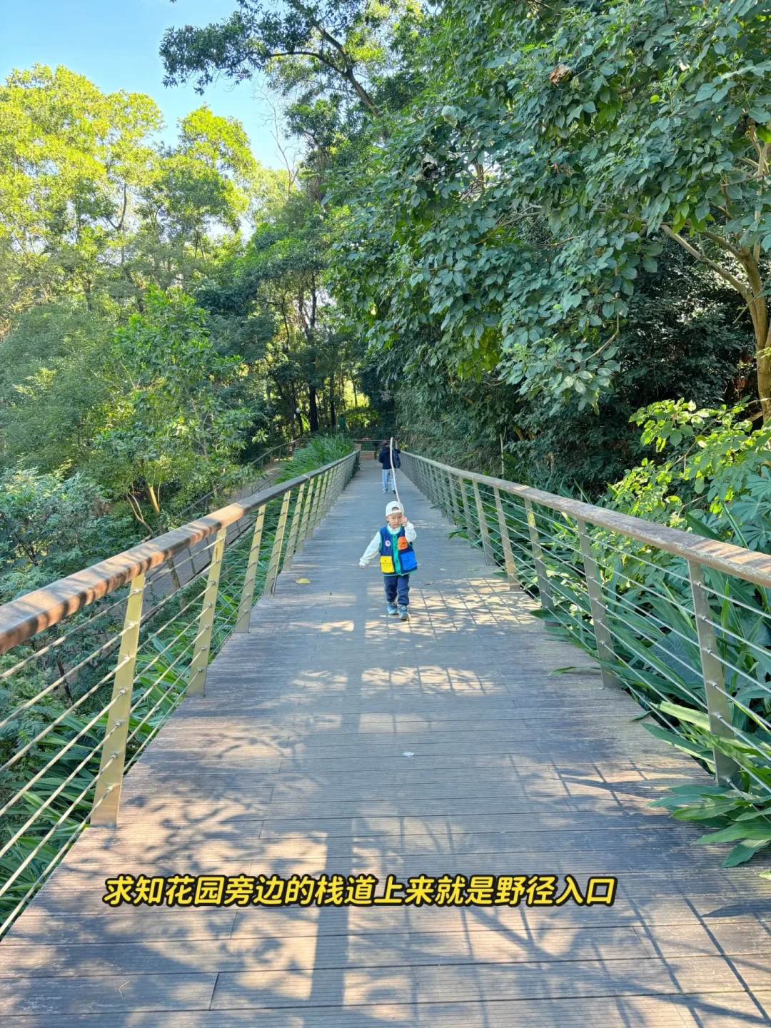 深圳北站直达,30分钟登顶的亲子徒步路线