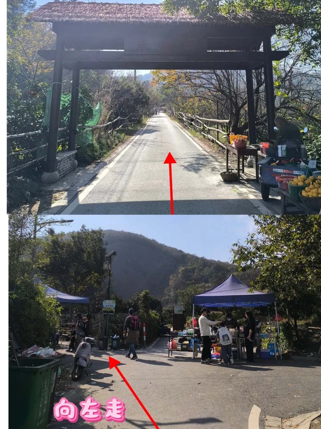 带娃徒步南北湖：一条山海湖环线指南