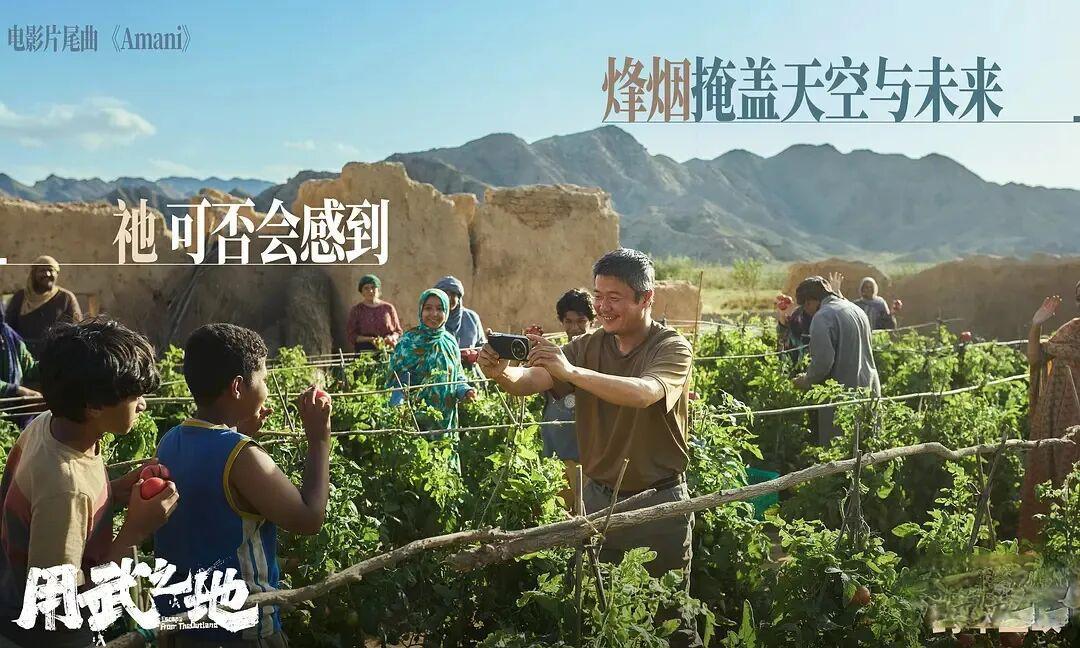 《用武之地》票房失利：口碑与市场的割裂
