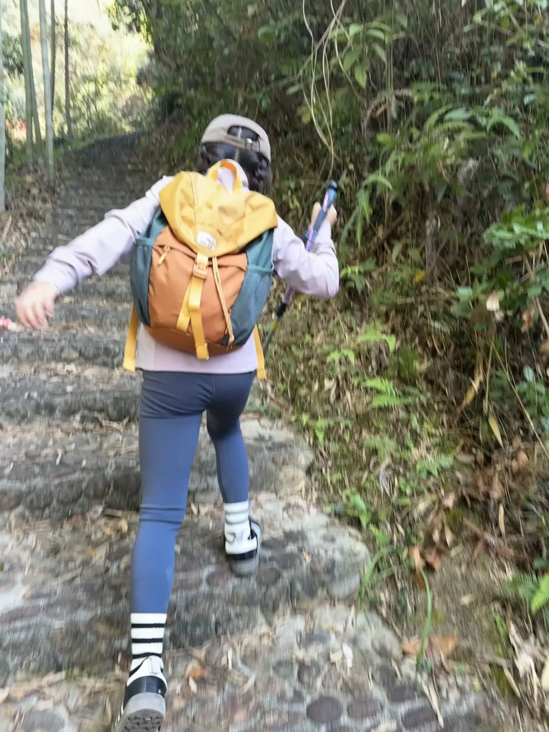 衢州明果寺亲子徒步:轻松两小时,邂逅瀑布与美食