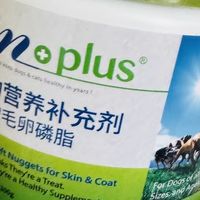 新年囤货！狗狗毛发焕新秘籍