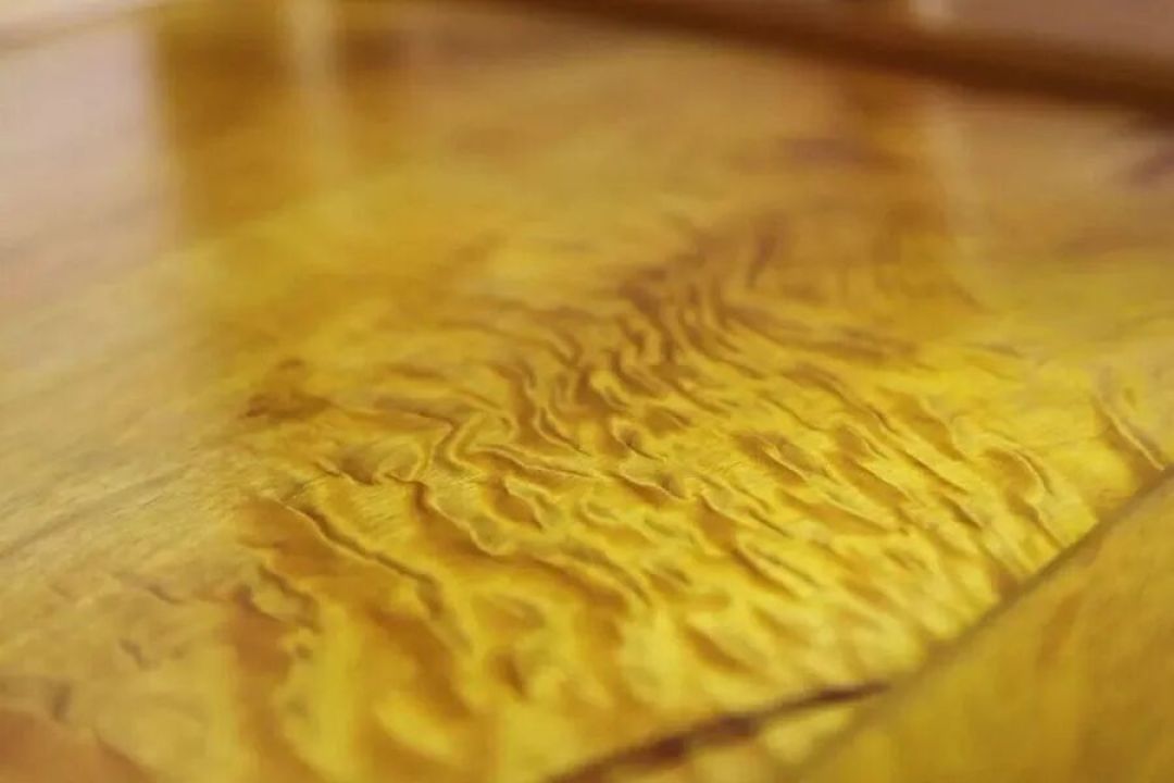 金丝楠木价值上亿,为何无人大规模种植?