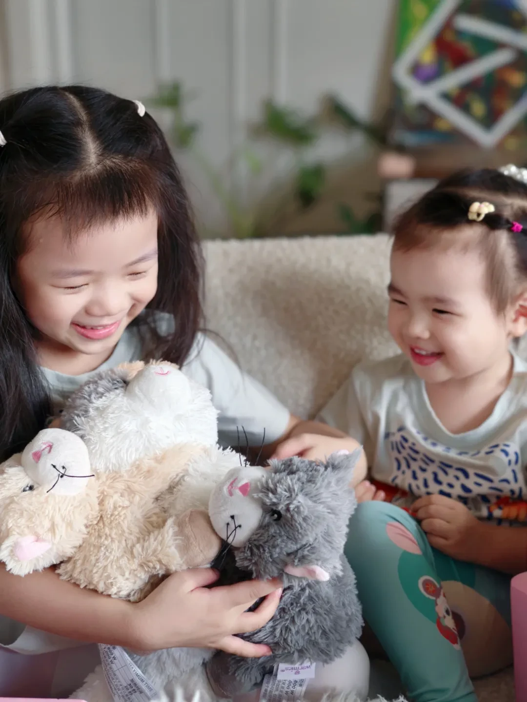 不止王室挚爱,会加热的玩偶如何治愈你我?