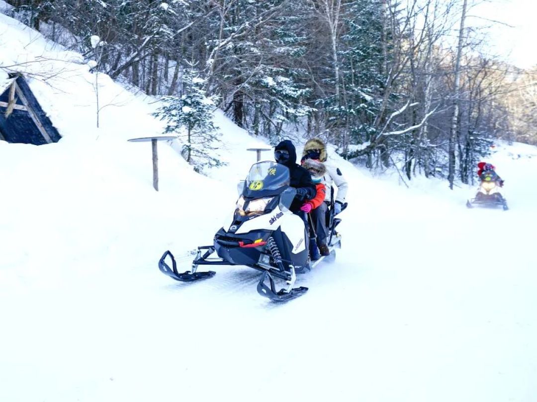 北疆8日冰雪之旅,解锁不一样的春节体验