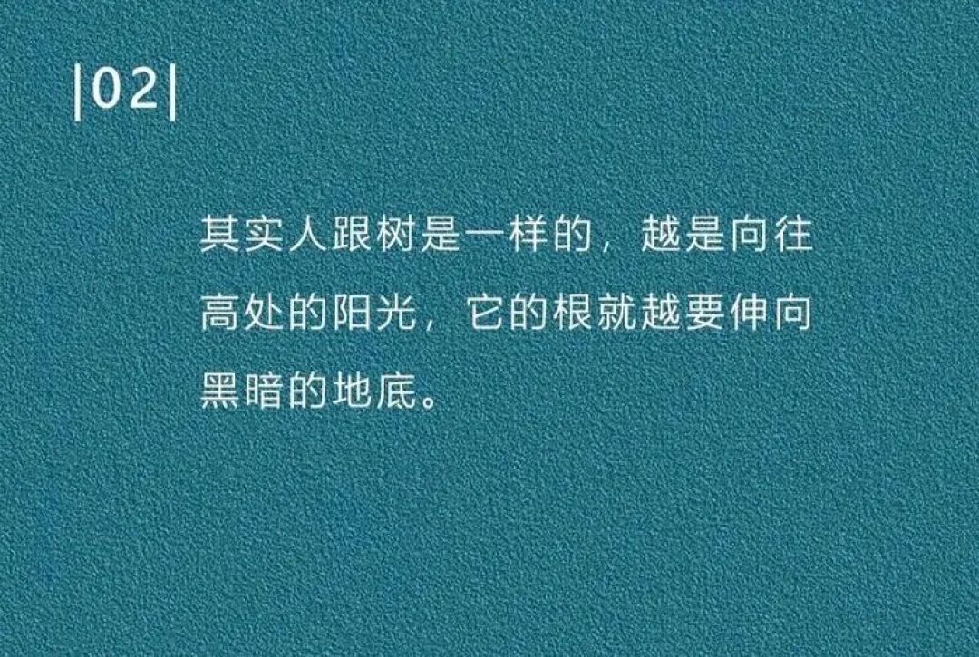 尼采的悲鸣与回响:解构被误解的哲学巨匠
