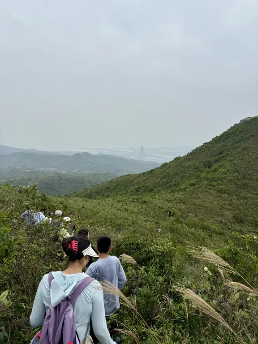 珠海大横琴山:一条野趣与山海兼备的徒步线