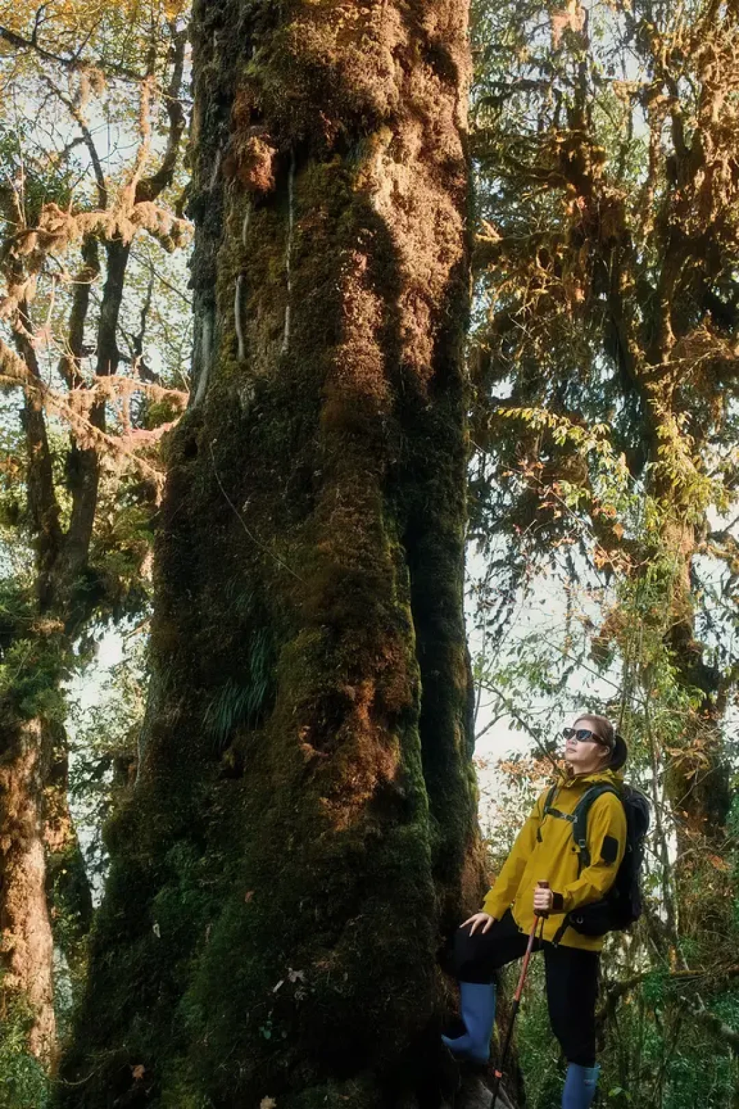 高黎贡山680元徒步,到底值不值?