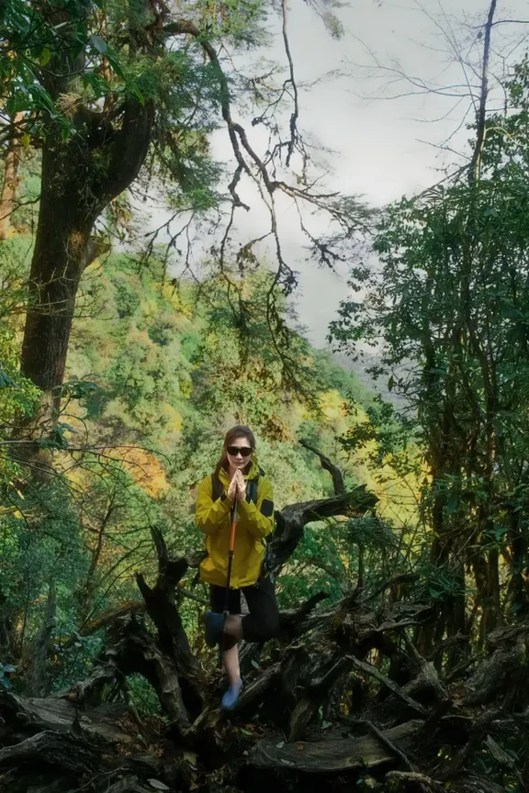 高黎贡山680元徒步,到底值不值?