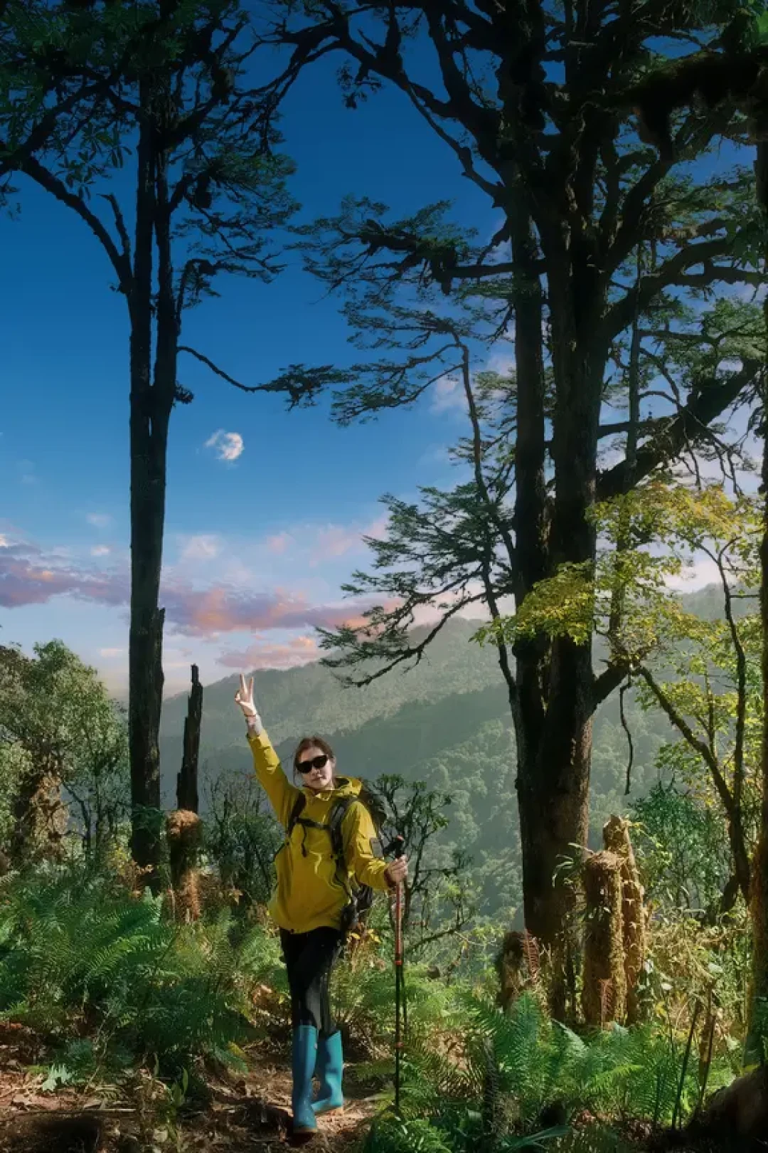 高黎贡山680元徒步,到底值不值?