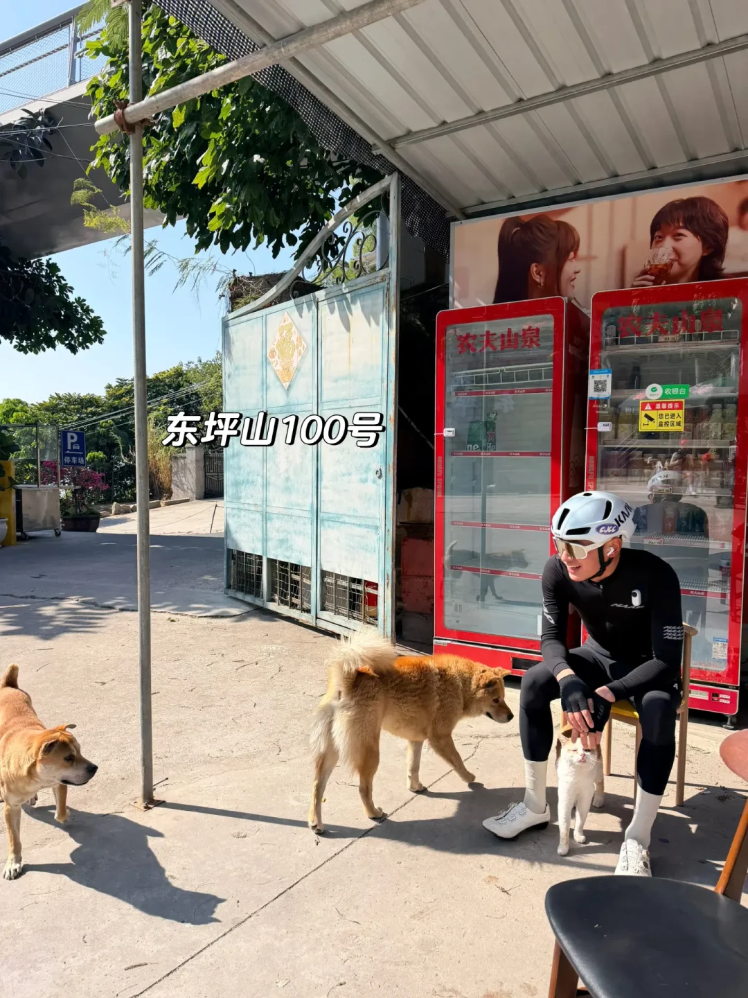 厦门57公里爬坡骑行路线:从东坪山到环岛路