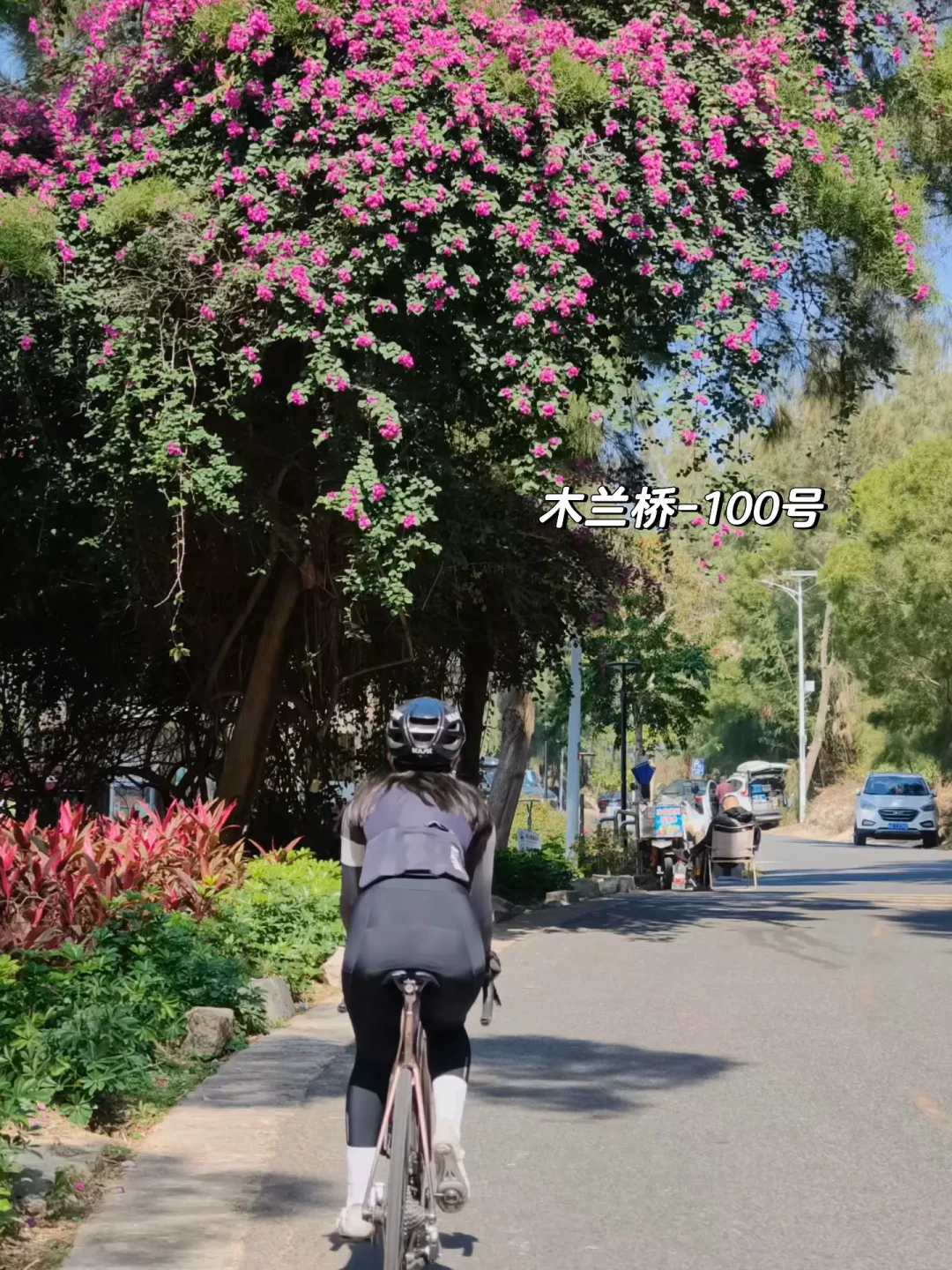 厦门57公里爬坡骑行路线:从东坪山到环岛路