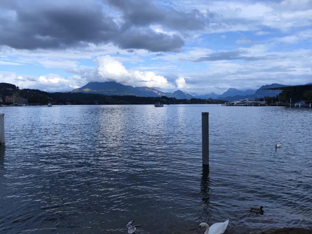 瑞士黄金列车：流动的风景画