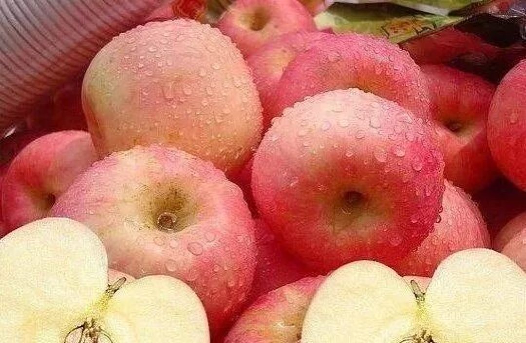 苹果如何跨越四季保持新鲜