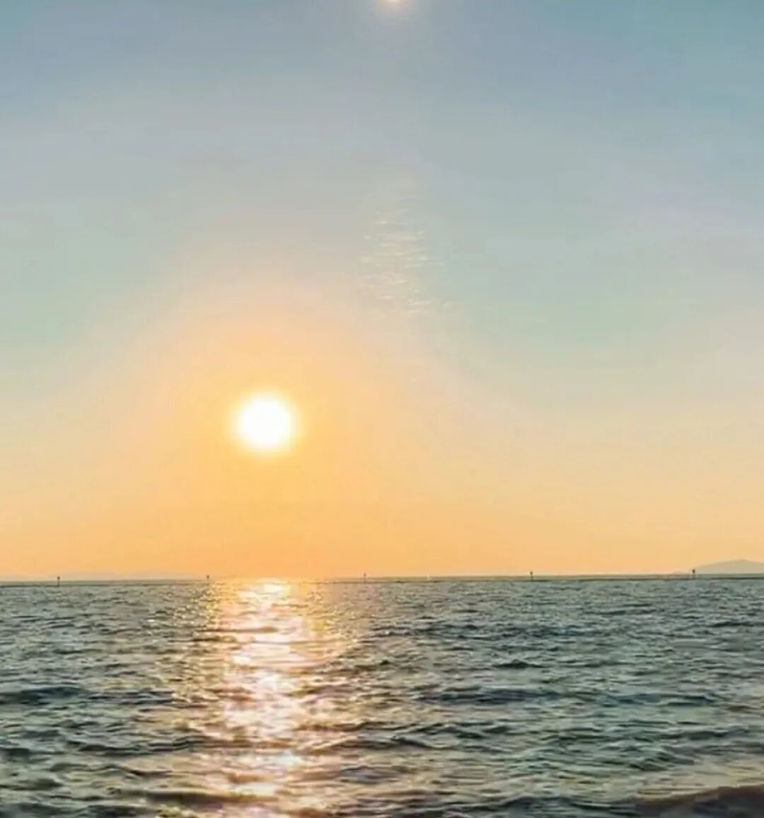 赶海:读懂潮汐,收获大海的惊喜