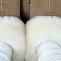 塔斯特雪地靴：冬日保暖新宠