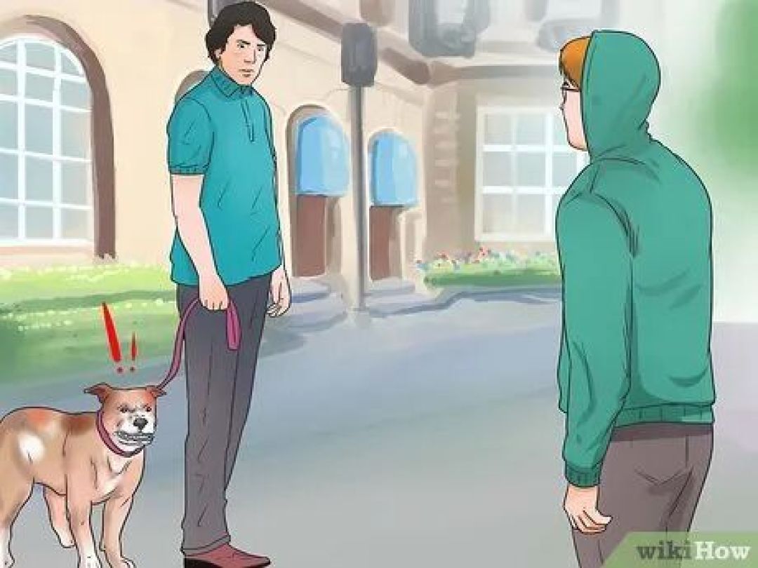 告别攻击:让爱犬回归温顺的家庭指南