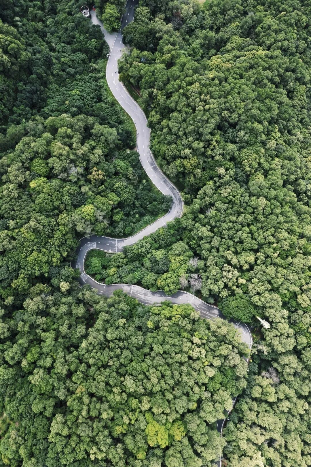 深圳小众徒步路线:虹桥探秘蠄蜍石