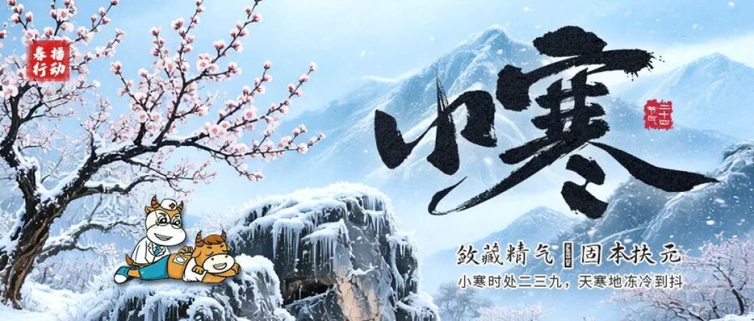 小寒养生,中医教你如何冬病冬防