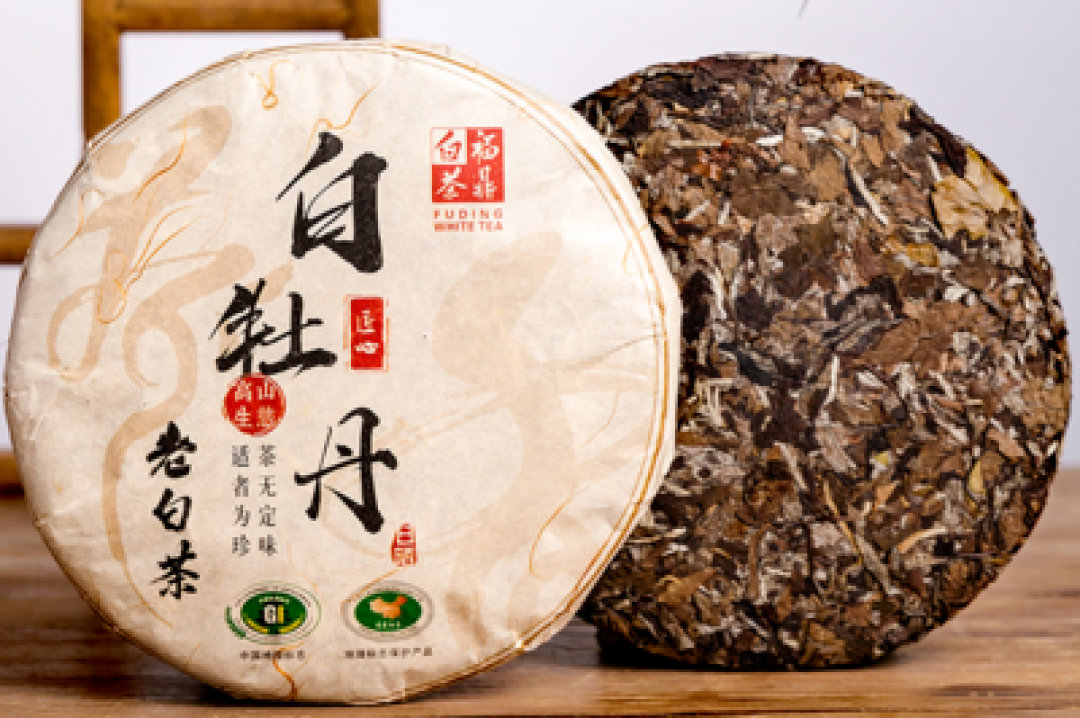 白茶寻踪:历史、工艺与市场博弈