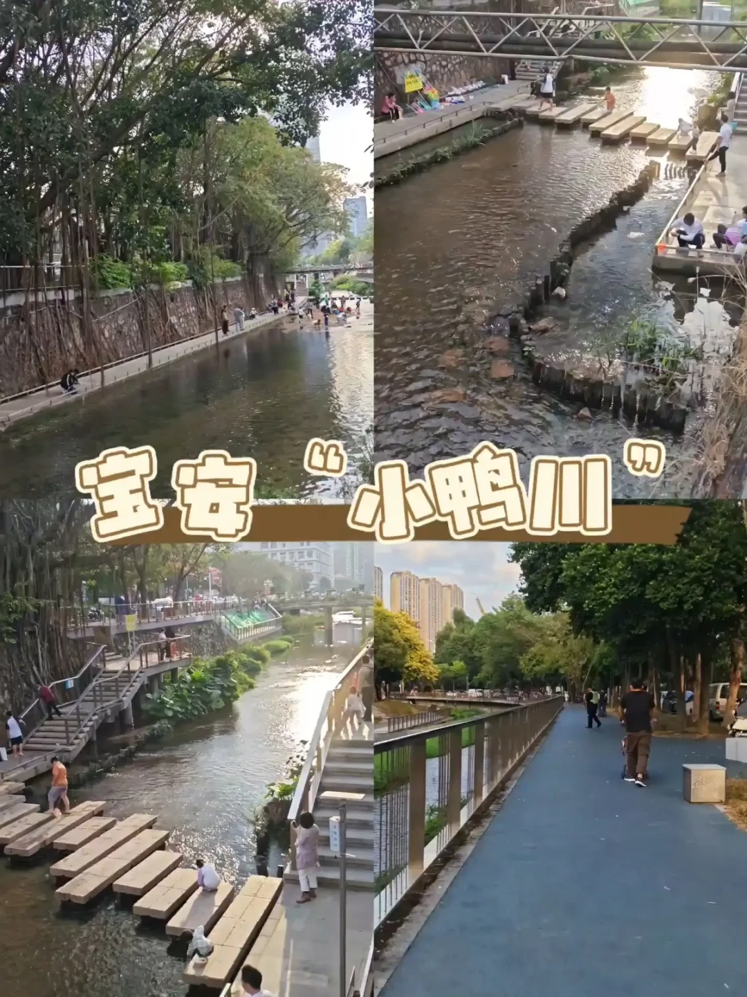 西乡河碧道:深圳免费的周末遛娃戏水地