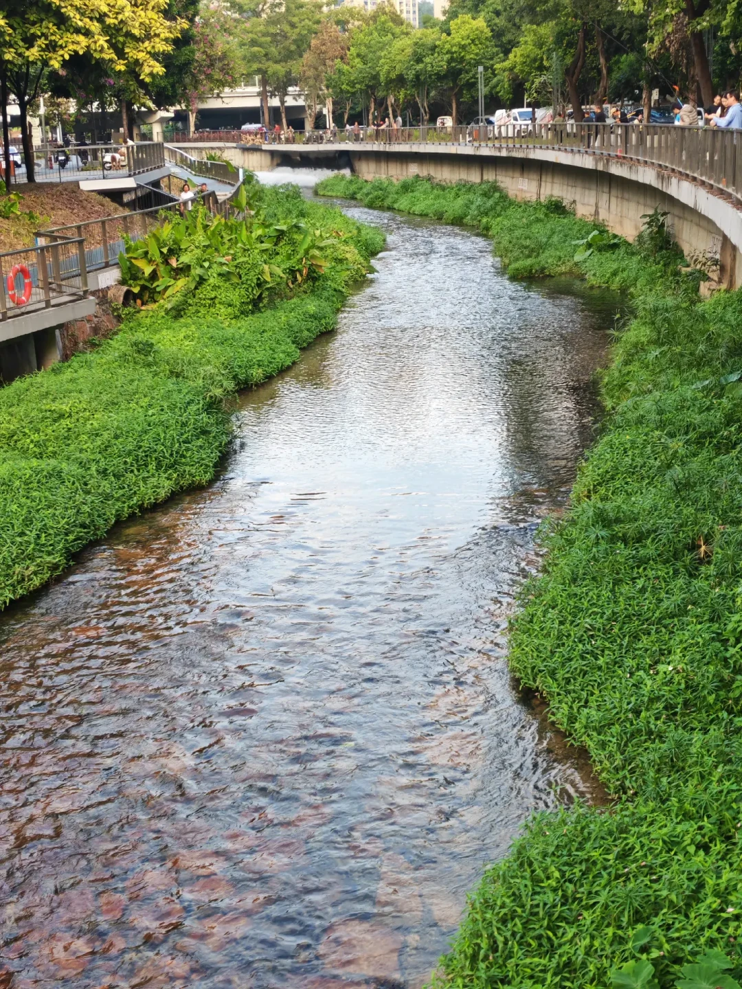 西乡河碧道:深圳免费的周末遛娃戏水地