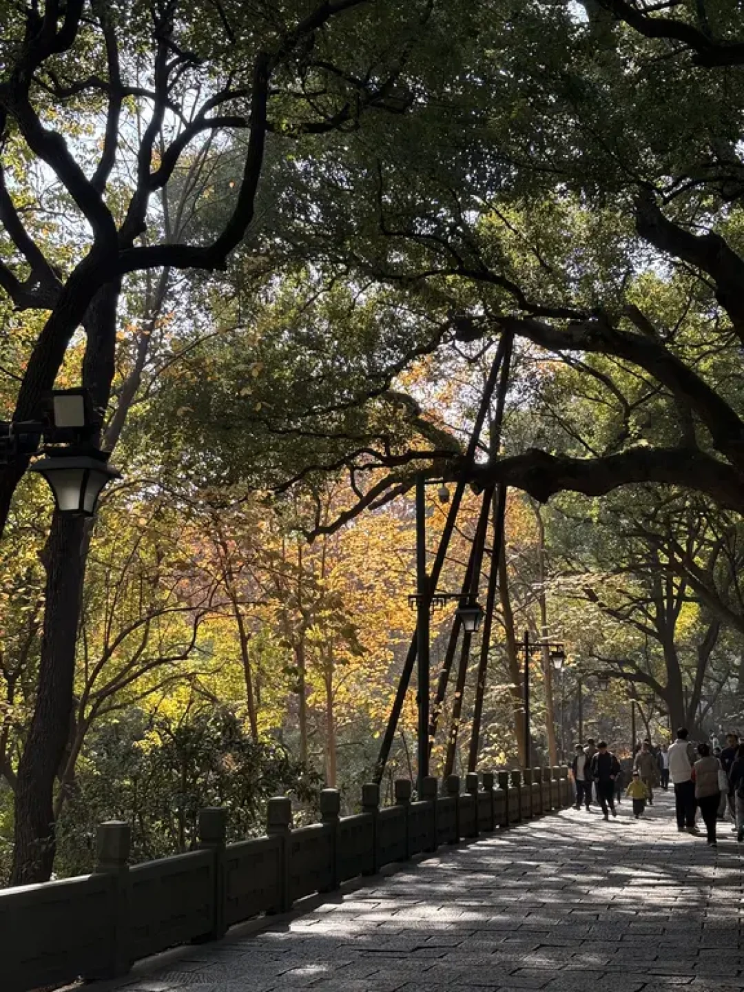 西湖小猪线：串联秋景与落日的轻松徒步