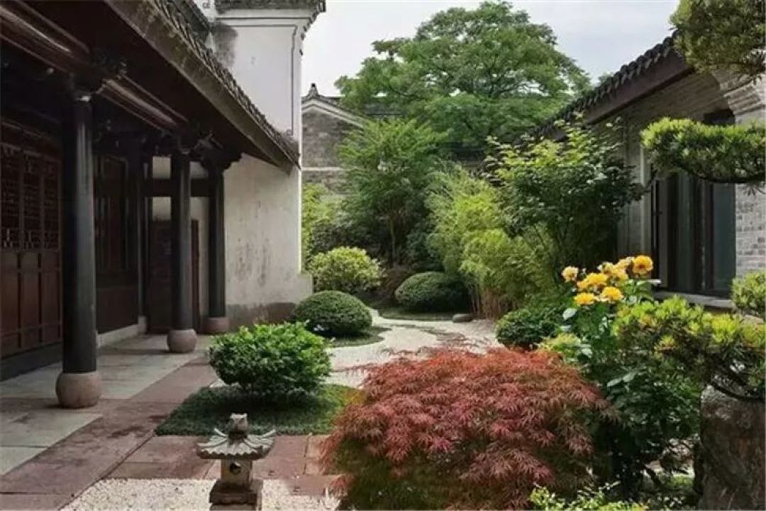 庭院植物配置全解析：六种风格指南