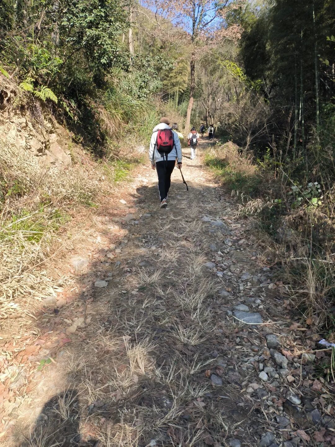 宁波10公里环线徒步:翻山越村,风景独好