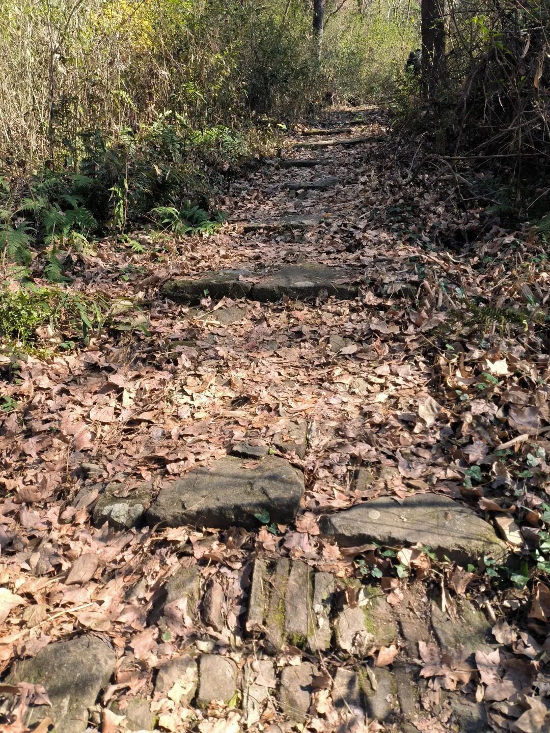 宁波10公里环线徒步:翻山越村,风景独好