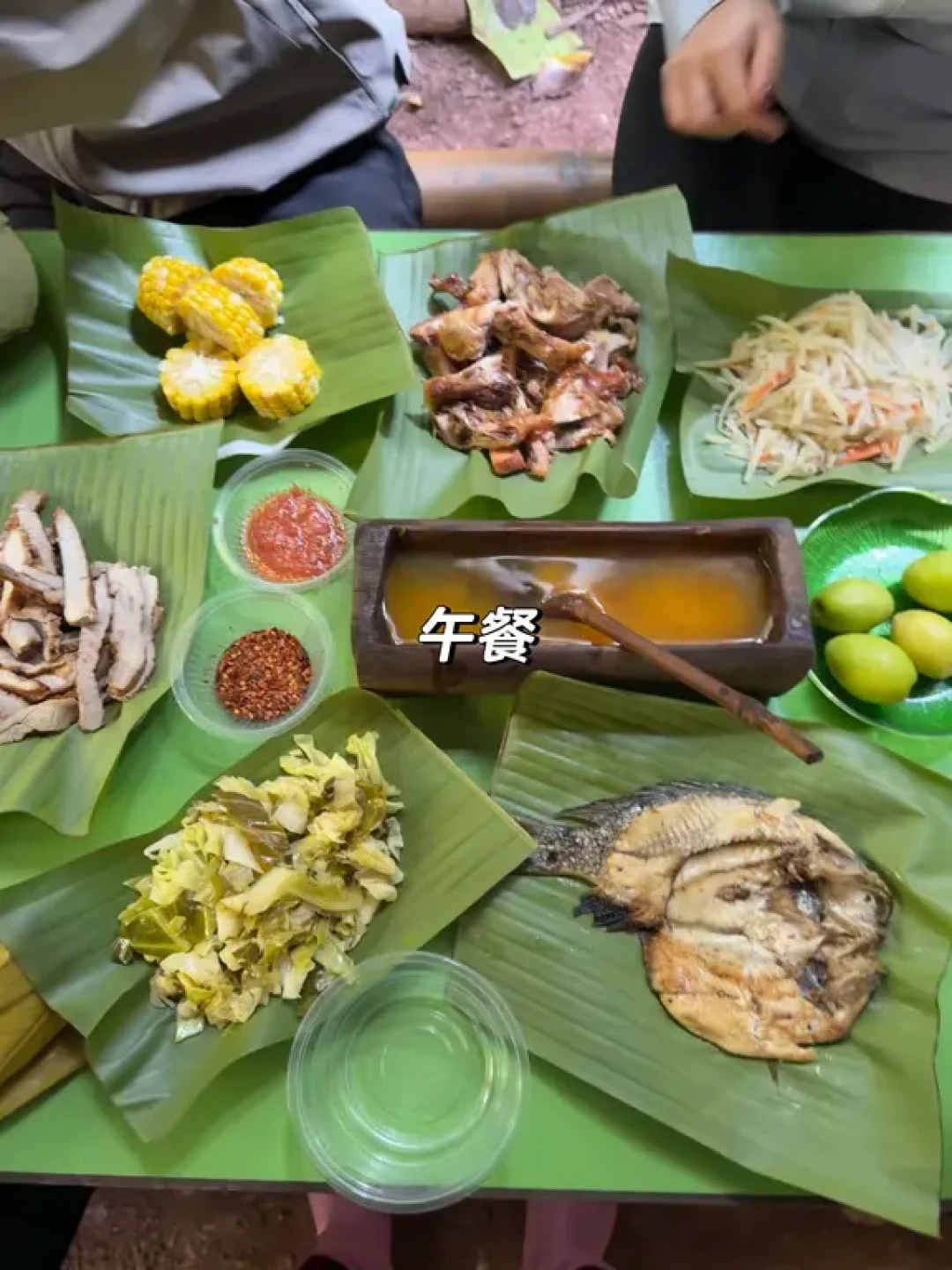 基诺山徒步全攻略:探寻雨林寄生花