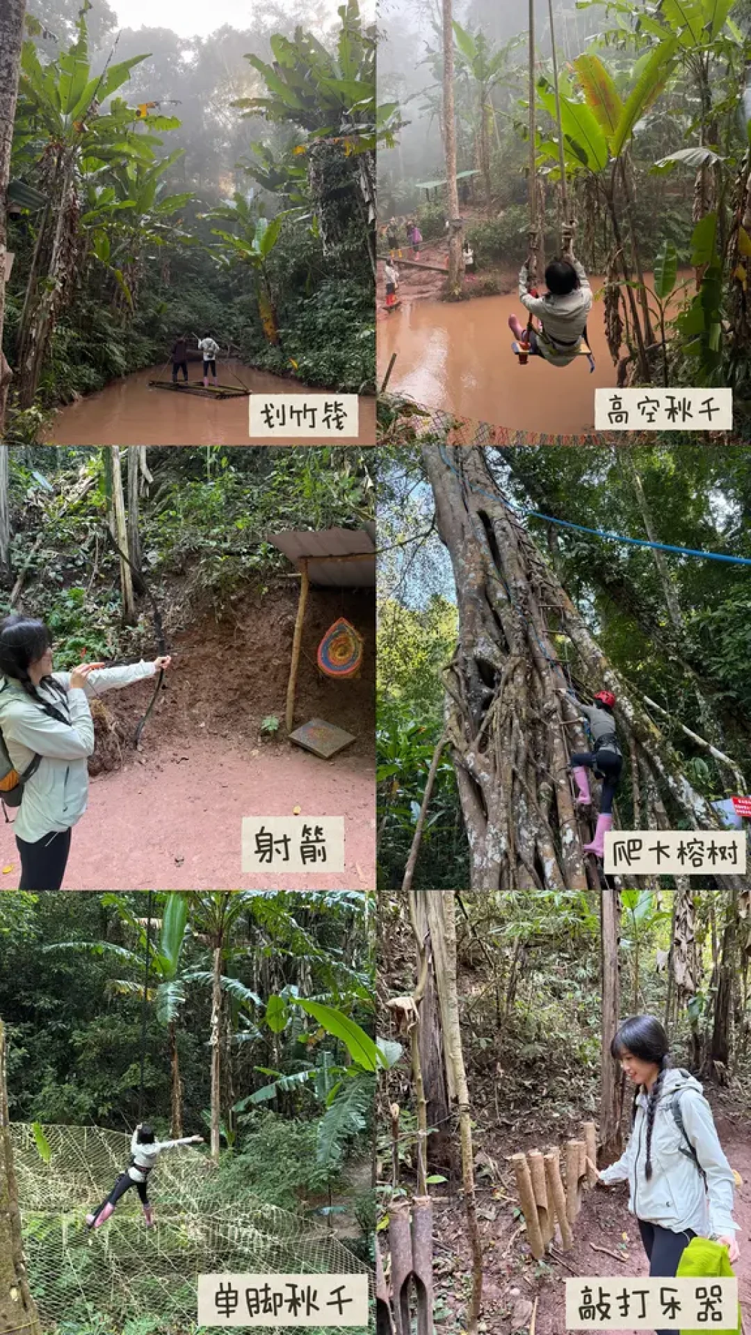 基诺山徒步全攻略:探寻雨林寄生花