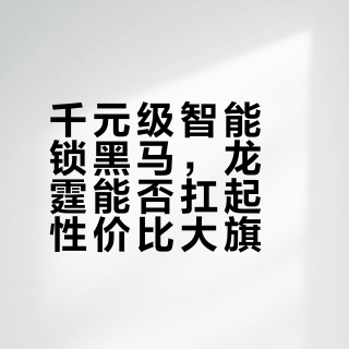 千元级智能锁黑马，龙霆能否扛起性价比大旗？