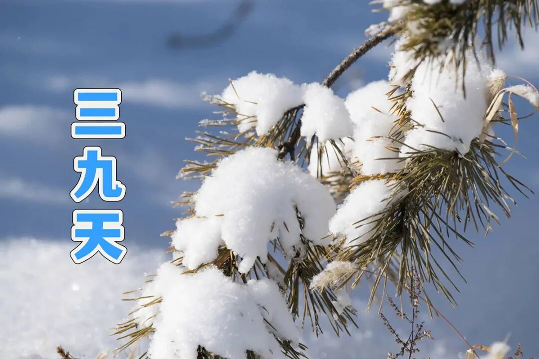 三九天进补,告别牛羊肉燥热,这4样食材温润驱寒