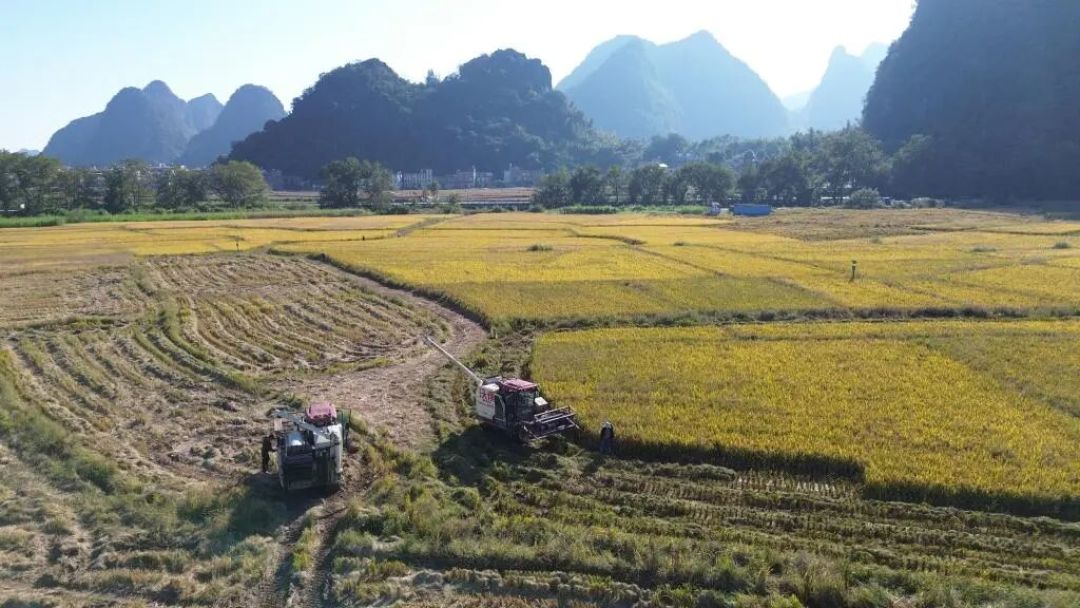 标准，如何重塑中国农业的未来？