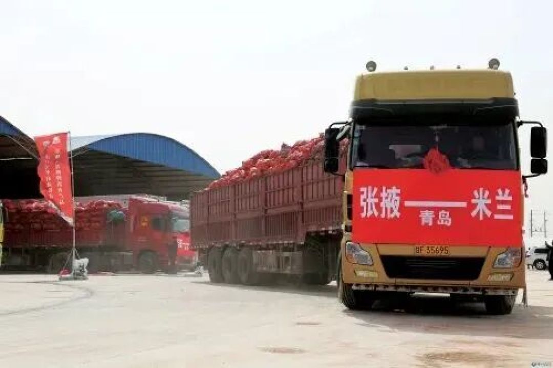 标准，如何重塑中国农业的未来？