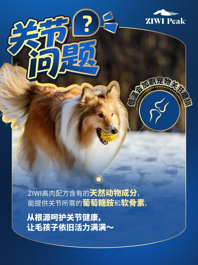 👀 谁是爱宠冬季免疫力主理人啊？