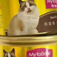 猫主子的本命罐：麦富迪猫罐头承包健康与美味