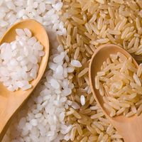 高价大米 vs 普通大米？127位用户真实体验告诉你值不值