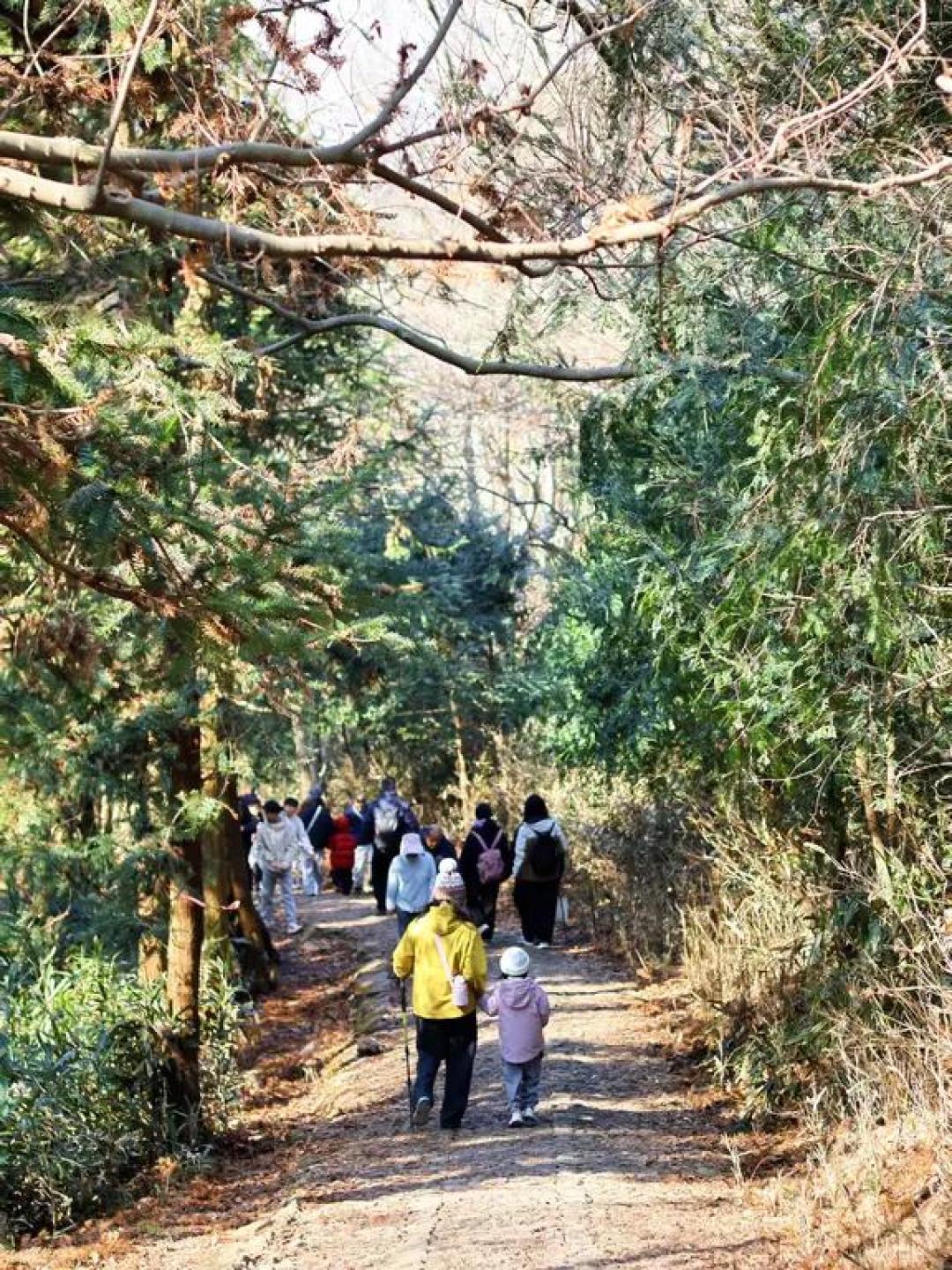 亭溪岭古道:带娃轻松登顶的吃玩路线