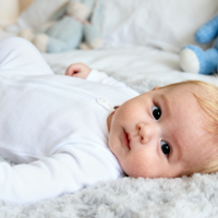 如何判断奶粉工艺好坏？关键在奶源与锁活技术