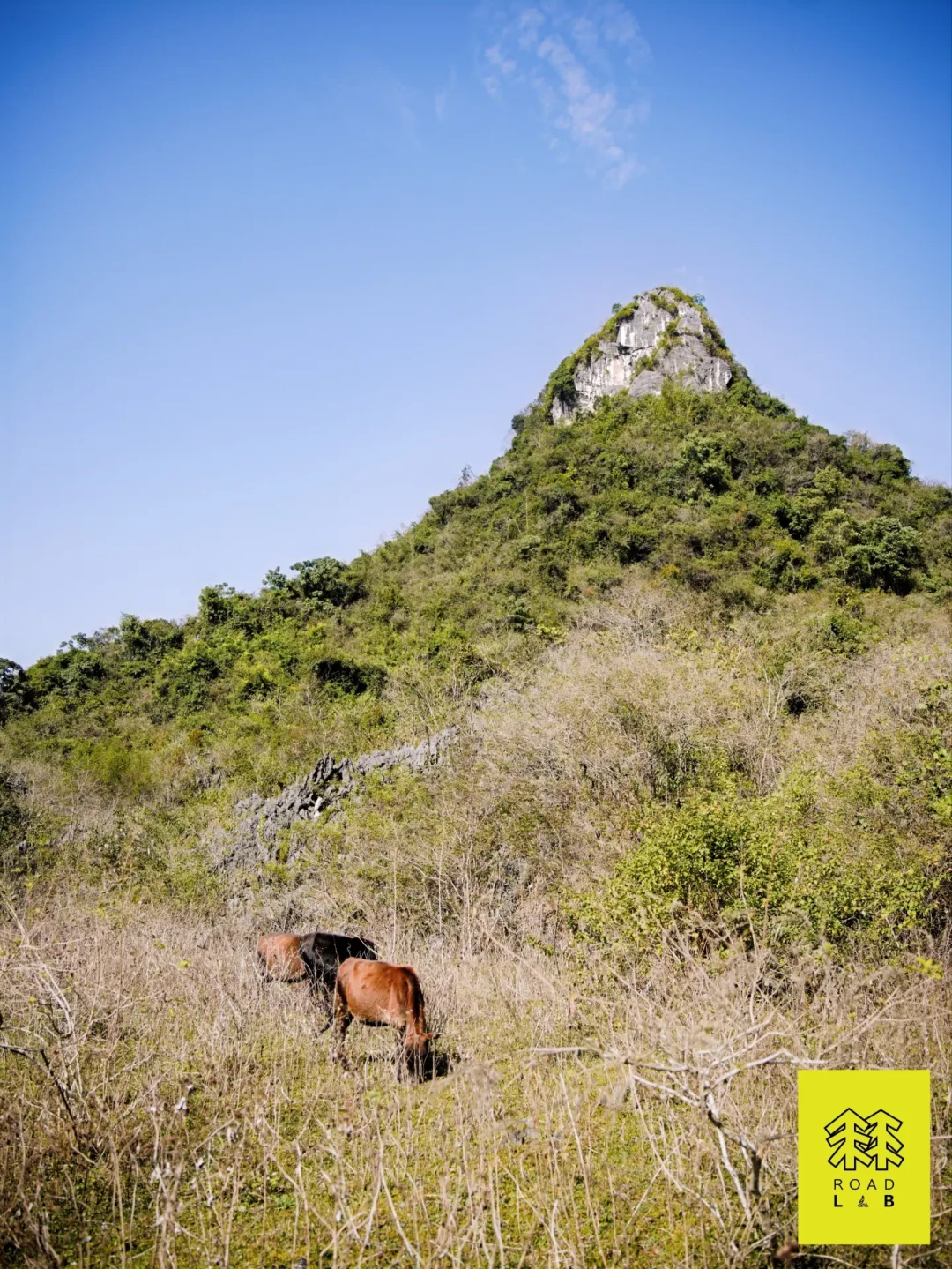 寻迹韩愈古道:徒步阳山,探访天下之穷处