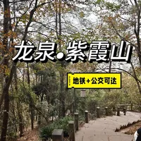 成都龙泉紫霞山：免费亲子的宝藏徒步地