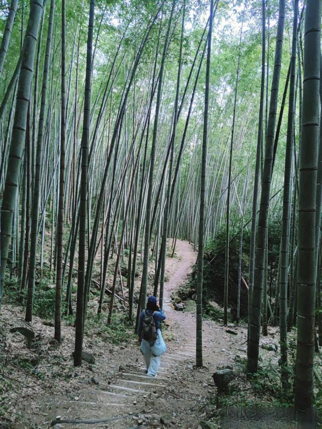 莆田龙穿城反穿:一条治愈的9km徒步环线