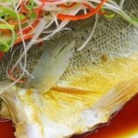 清蒸鱼 vs 红烧鱼？我们汇总了128位用户真实体验，结论在这