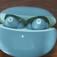 原三百的降噪无线蓝牙耳机现在几十拿下，2.4mm巨型振膜动圈单元