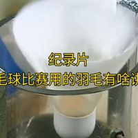 羽毛球冷知识：为何顶级球要用八只鹅