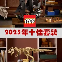 乐高2025年度十佳套装精选盘点