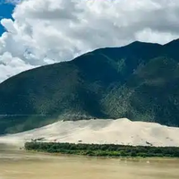 2026年1月脂溢性皮炎用哪款止痒去屑洗发水盘点